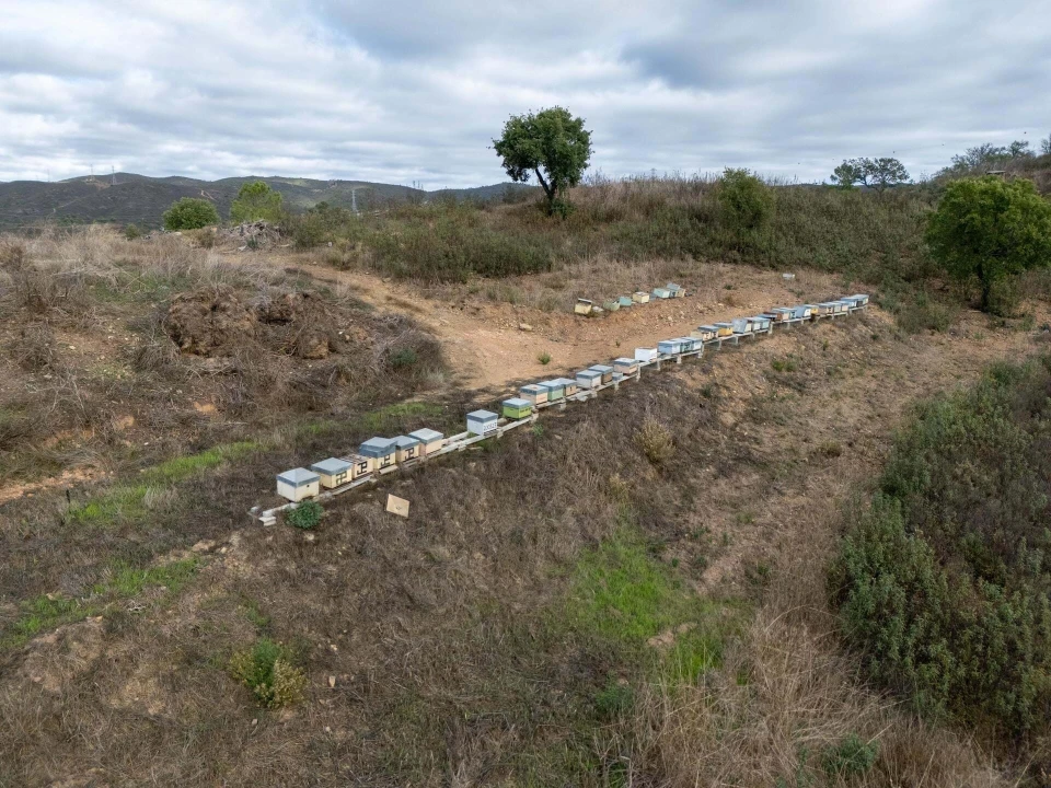 Terreno para Venda em São Brás de Alportel Foto 27