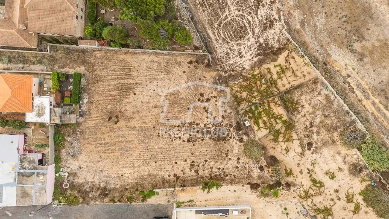 Terreno para Venda em Porto Santo Foto 4