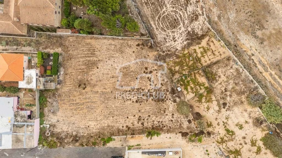 Terreno para Venda em Porto Santo Foto 4
