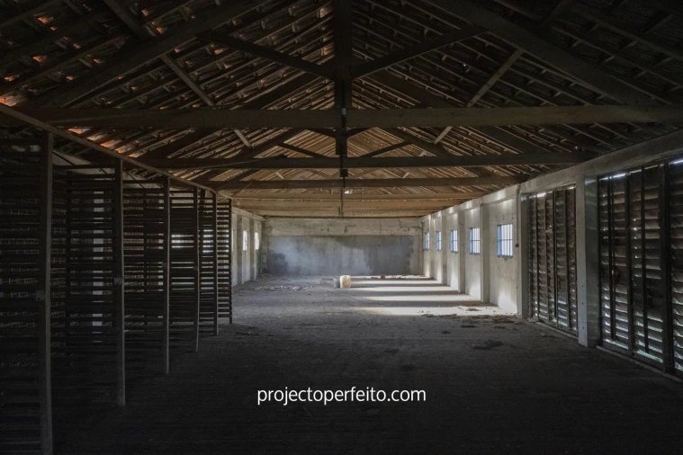Armazém para Venda em Rio Meão Foto 6