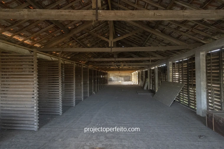 Armazém para Venda em Rio Meão Foto 5