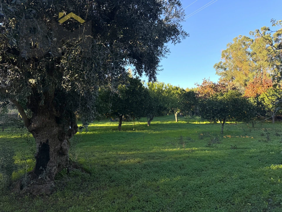 Quinta T0 para Venda em Escalos de Baixo e Mata Foto 18