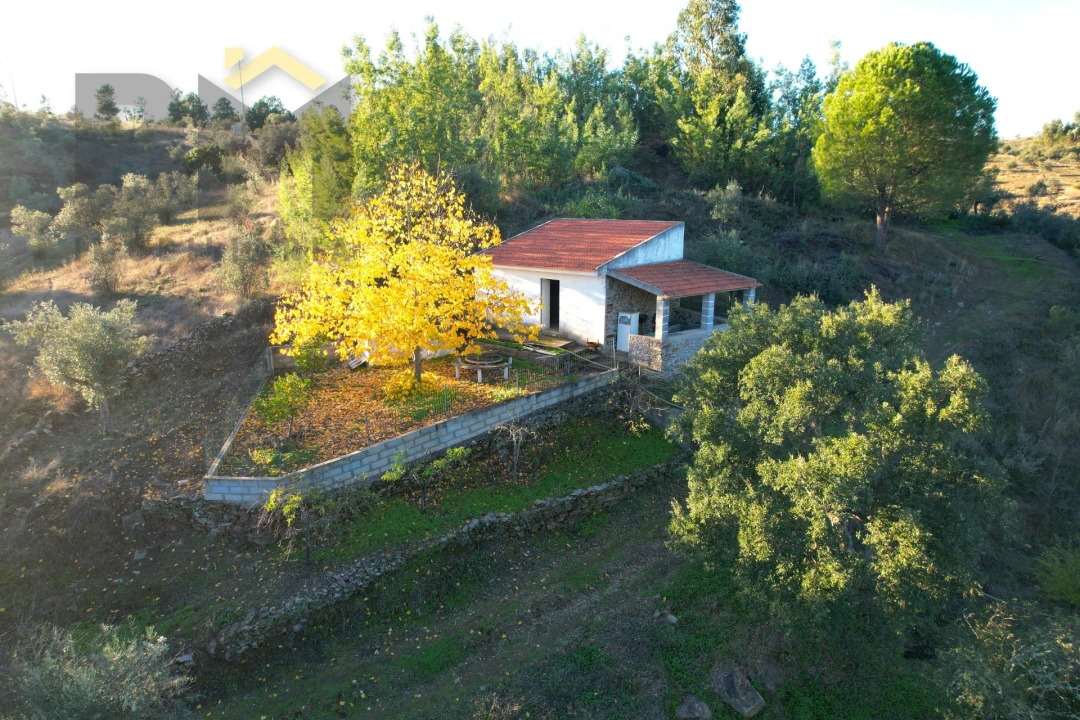 Quinta T0 para Venda em Escalos de Baixo e Mata Foto 19