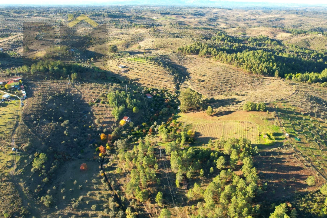 Quinta T0 para Venda em Escalos de Baixo e Mata Foto 22