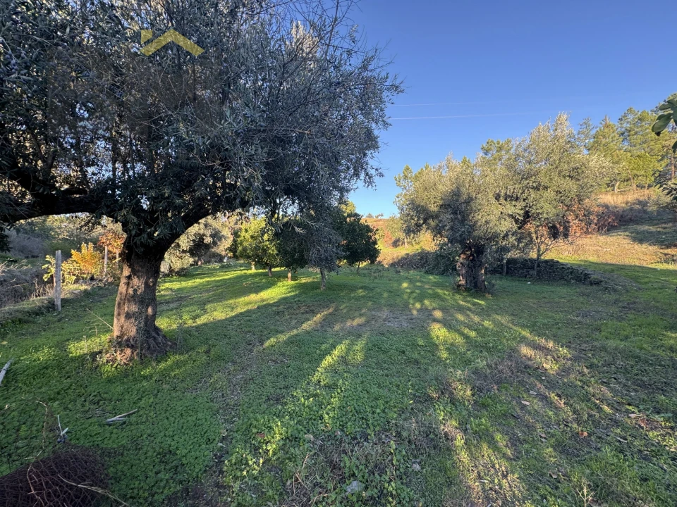 Quinta T0 para Venda em Escalos de Baixo e Mata Foto 16