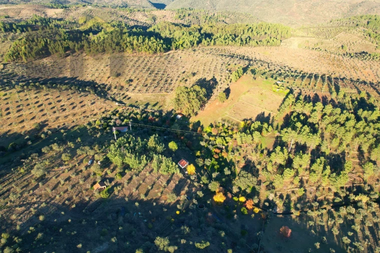 Quinta T0 para Venda em Escalos de Baixo e Mata Foto 24