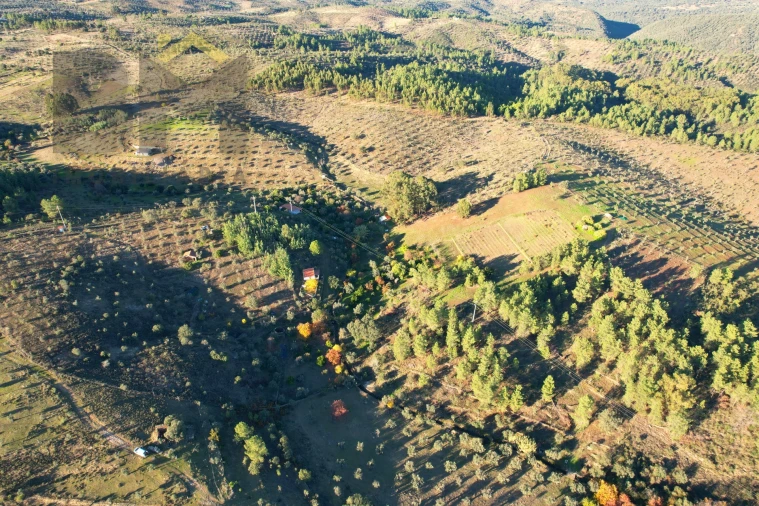 Quinta T0 para Venda em Escalos de Baixo e Mata Foto 23