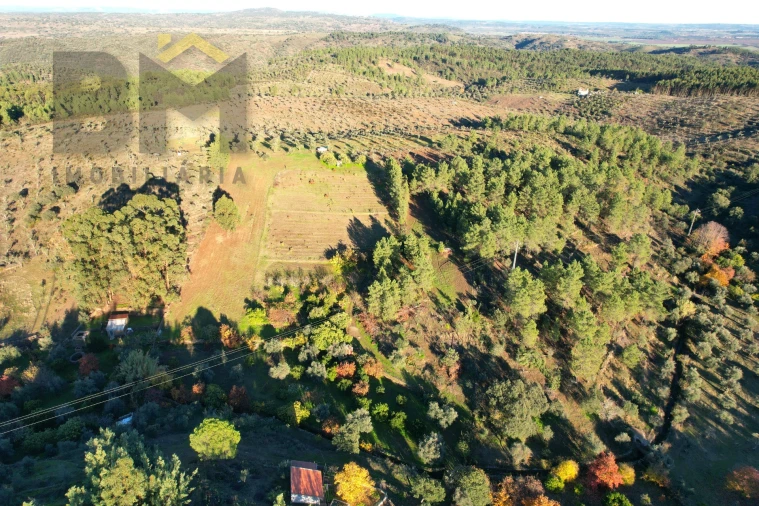 Quinta T0 para Venda em Escalos de Baixo e Mata Foto 25