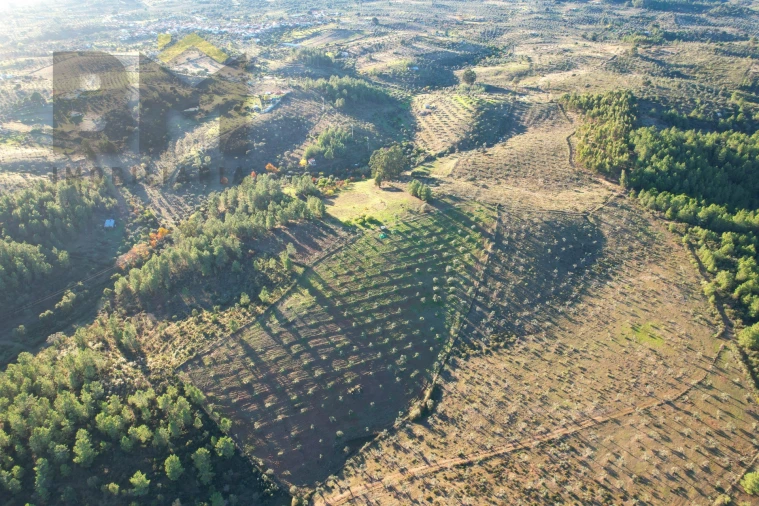 Quinta T0 para Venda em Escalos de Baixo e Mata Foto 29