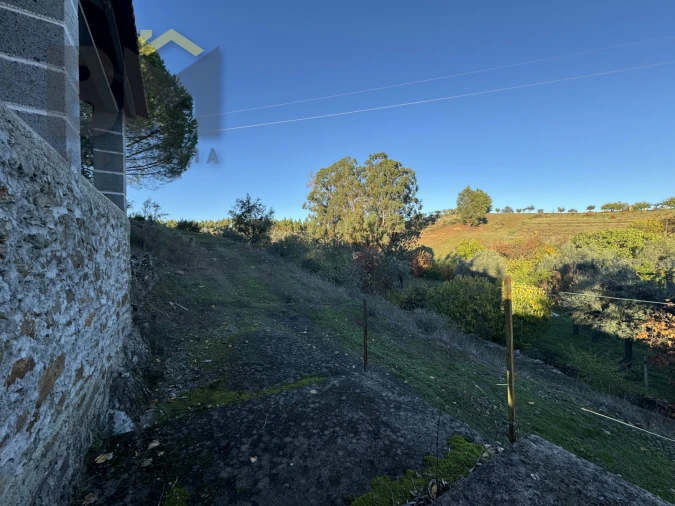 Quinta T0 para Venda em Escalos de Baixo e Mata Foto 2