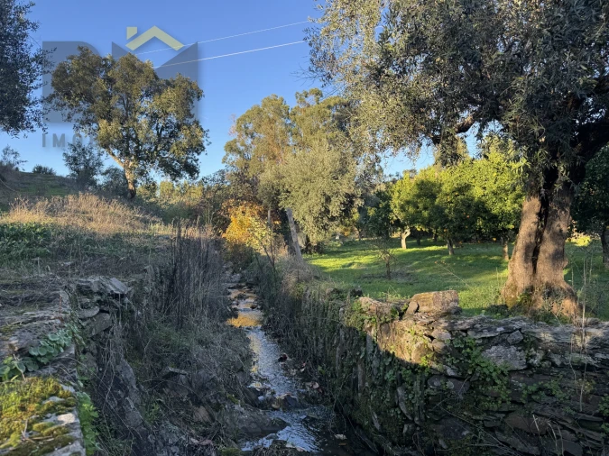 Quinta T0 para Venda em Escalos de Baixo e Mata Foto 17