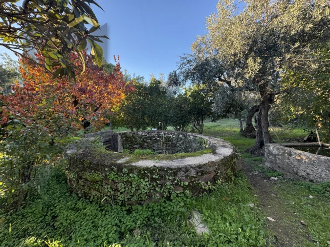 Quinta T0 para Venda em Escalos de Baixo e Mata Foto 3