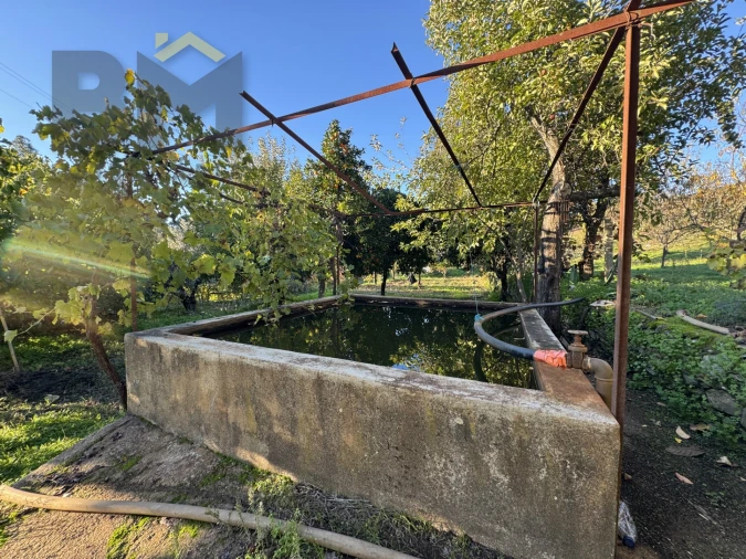 Quinta T0 para Venda em Escalos de Baixo e Mata Foto 5