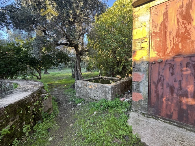 Quinta T0 para Venda em Escalos de Baixo e Mata Foto 4