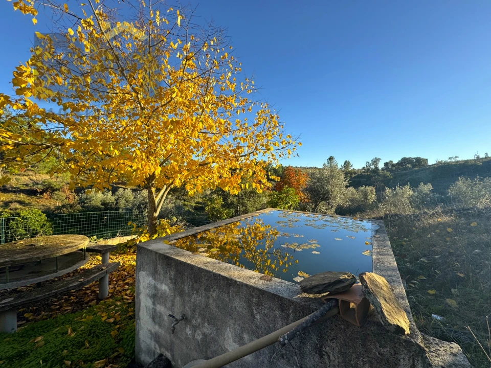 Quinta T0 para Venda em Escalos de Baixo e Mata Foto 14