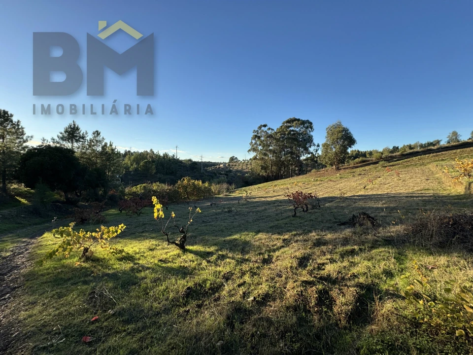 Quinta T0 para Venda em Escalos de Baixo e Mata Foto 6