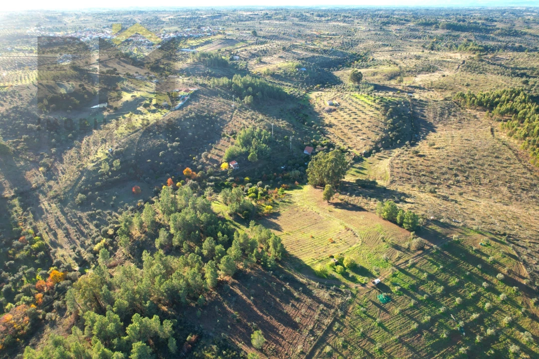 Quinta T0 para Venda em Escalos de Baixo e Mata Foto 21