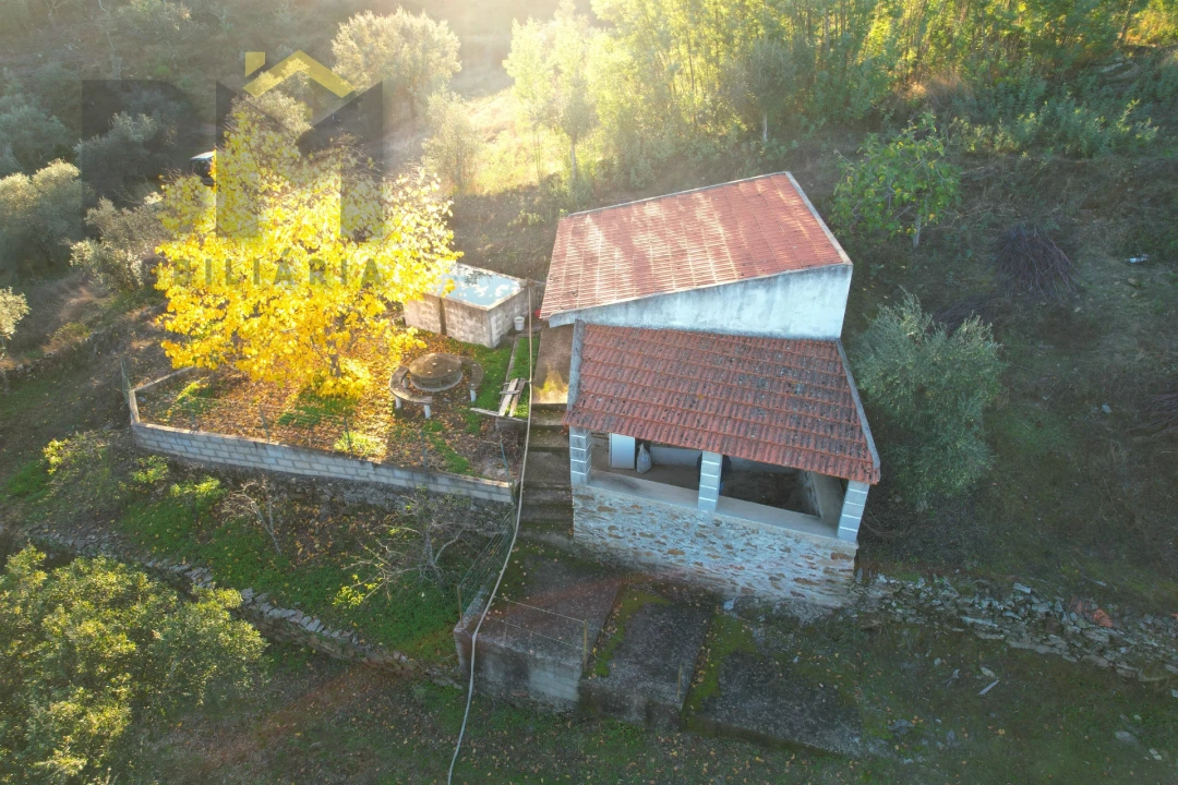 Quinta T0 para Venda em Escalos de Baixo e Mata Foto 30