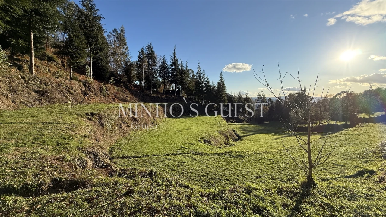 Terreno para Venda em Valdosende Foto 4