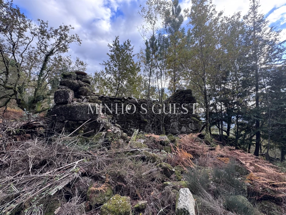 Terreno para Venda em Valdosende Foto 3