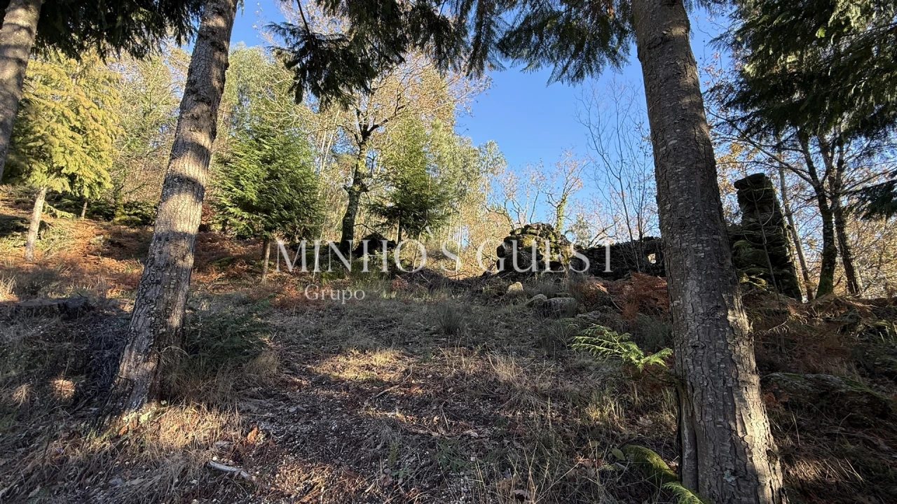 Terreno para Venda em Valdosende Foto 8