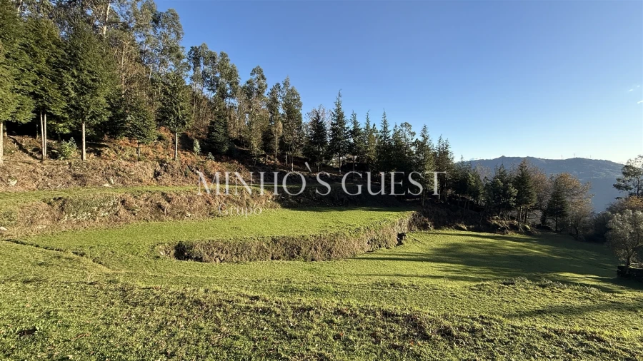 Terreno para Venda em Valdosende Foto 12