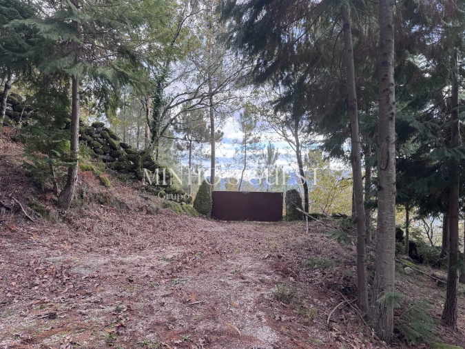 Terreno para Venda em Valdosende Foto 12