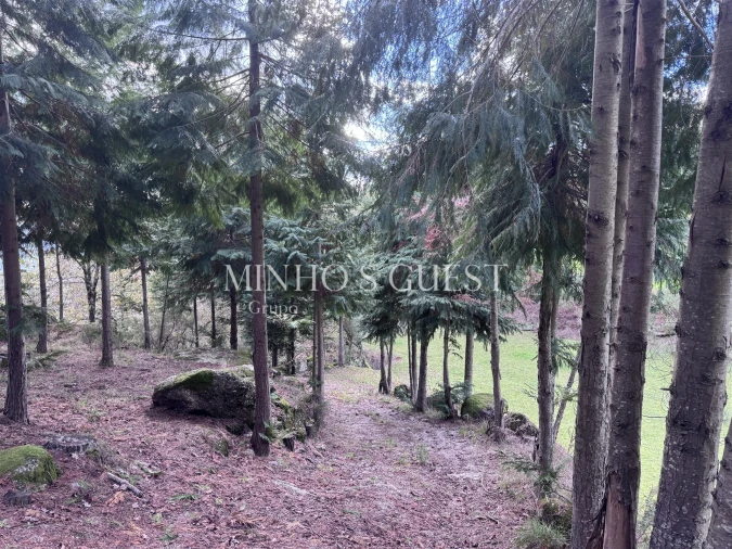 Terreno para Venda em Valdosende Foto 11