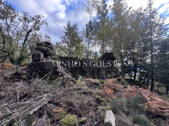 Terreno para Venda em Valdosende Foto 3