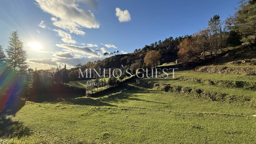 Terreno para Venda em Valdosende Foto 11