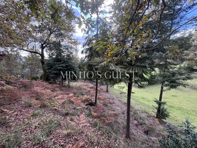 Terreno para Venda em Valdosende Foto 7