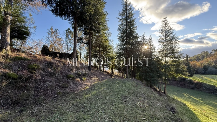 Terreno para Venda em Valdosende Foto 10