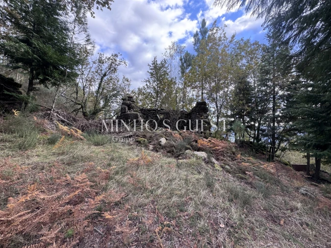Terreno para Venda em Valdosende Foto 4