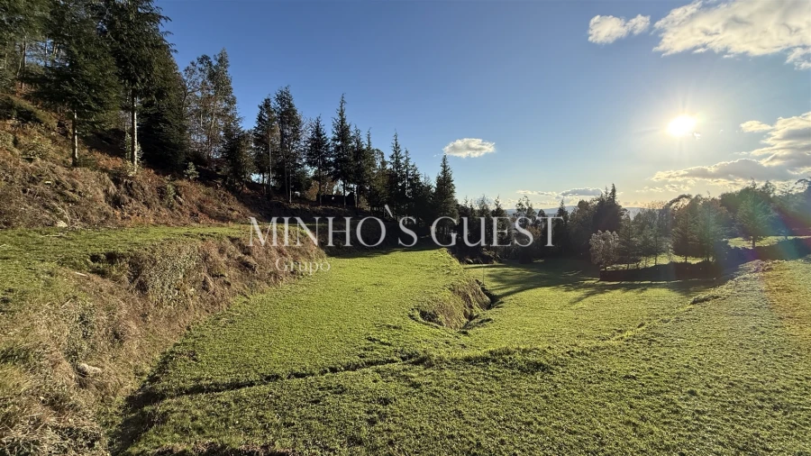 Terreno para Venda em Valdosende Foto 14
