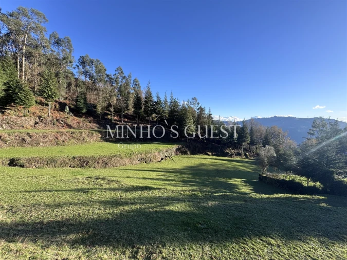 Terreno para Venda em Valdosende Foto 13