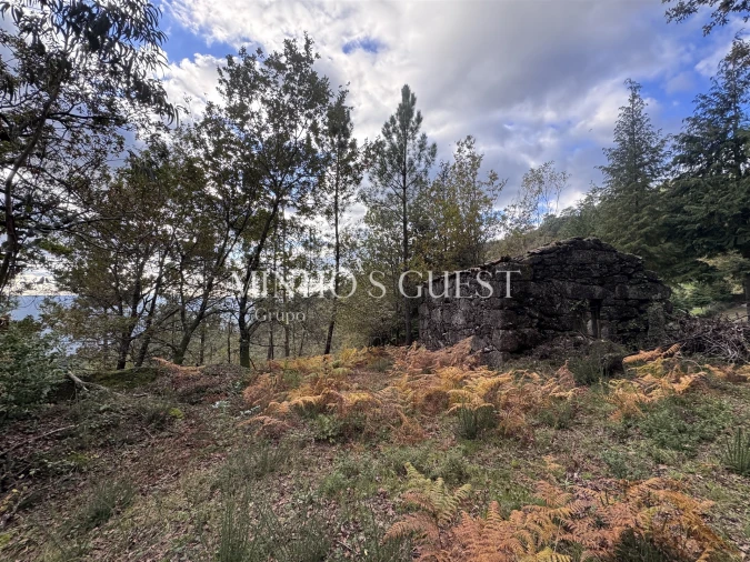 Terreno para Venda em Valdosende Foto 2