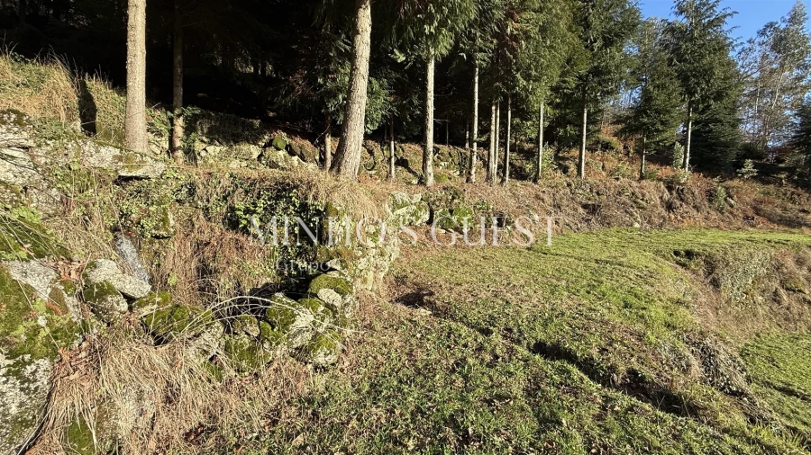 Terreno para Venda em Valdosende Foto 5