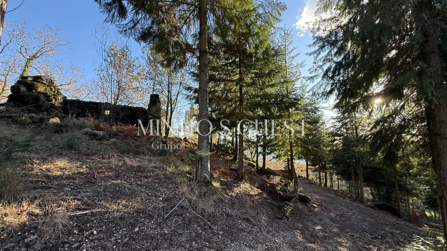 Terreno para Venda em Valdosende Foto 6