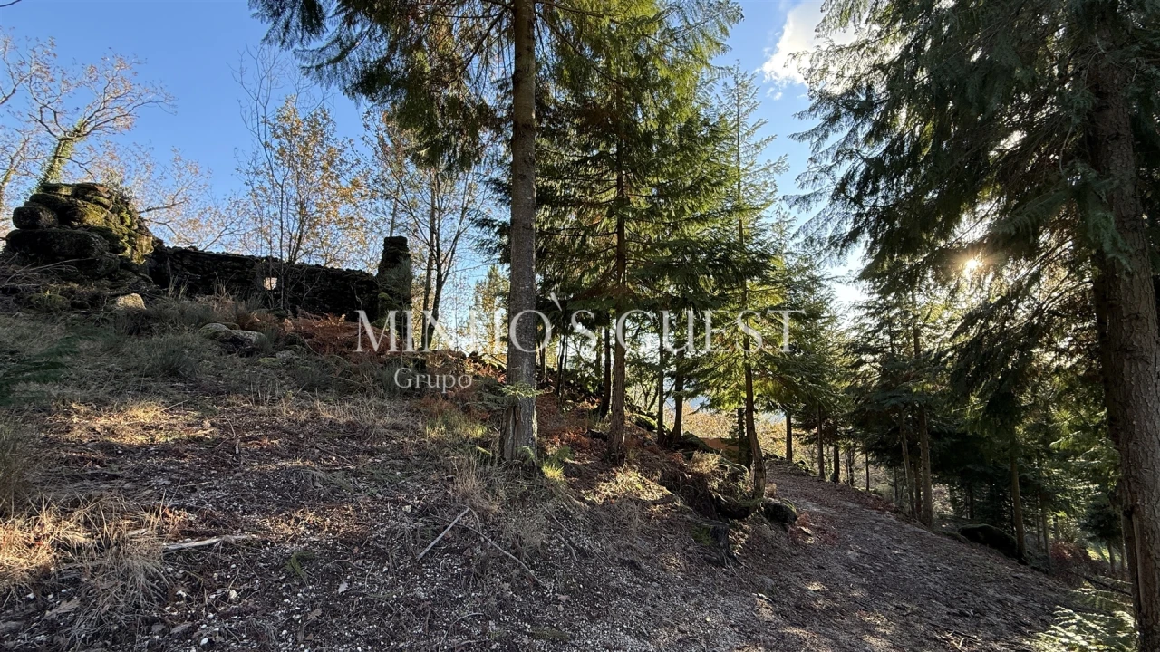 Terreno para Venda em Valdosende Foto 9