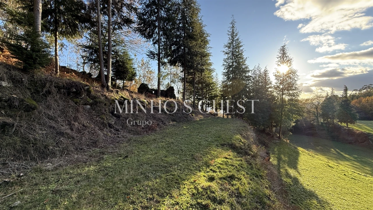 Terreno para Venda em Valdosende Foto 7