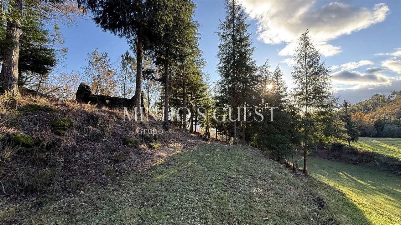 Terreno para Venda em Valdosende Foto 10