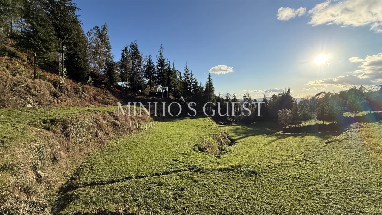 Terreno para Venda em Valdosende Foto 14