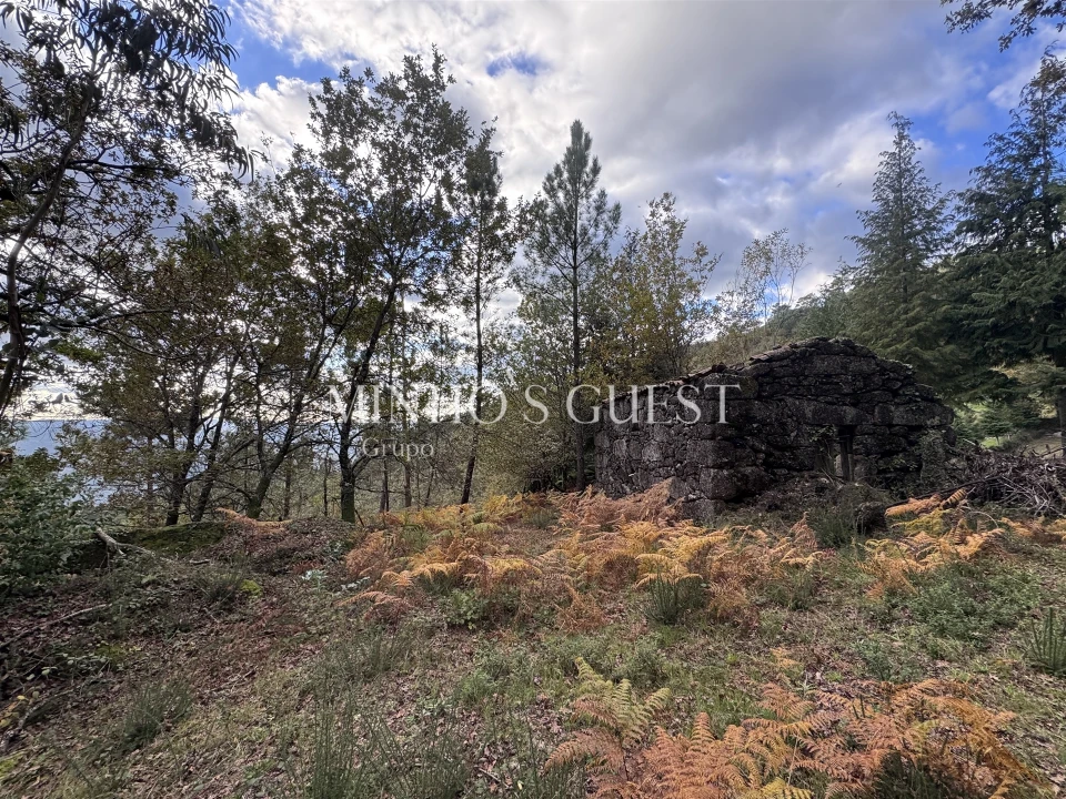 Terreno para Venda em Valdosende Foto 2