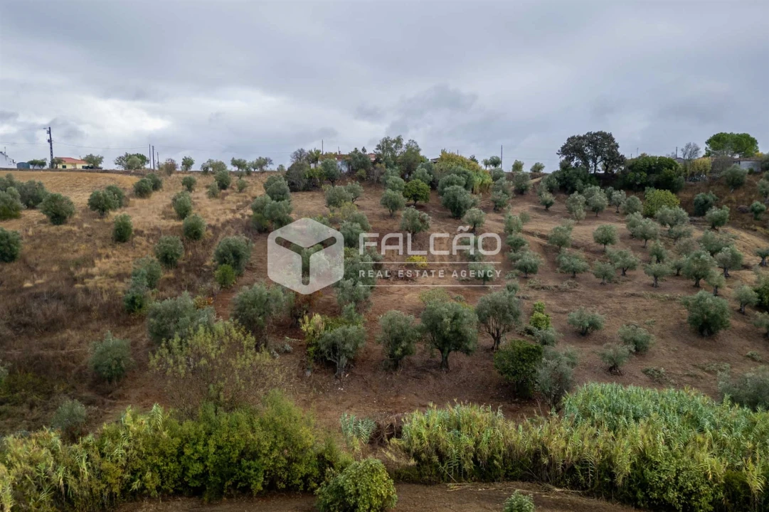 Moradia T2 para Venda em Casével e Vaqueiros Foto 11