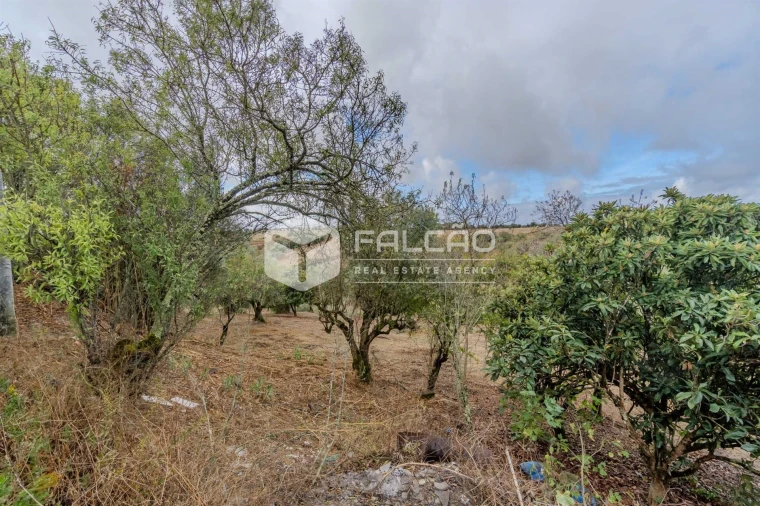 Moradia T2 para Venda em Casével e Vaqueiros Foto 45