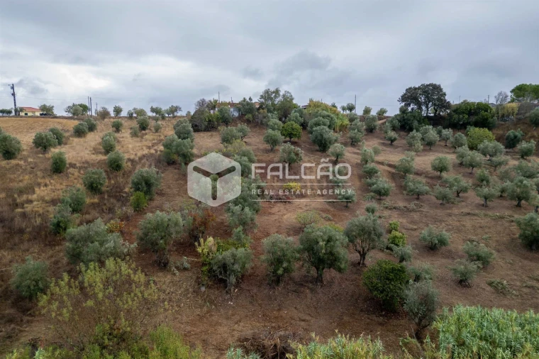 Moradia T2 para Venda em Casével e Vaqueiros Foto 10