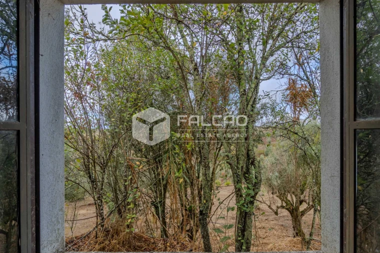 Moradia T2 para Venda em Casével e Vaqueiros Foto 43