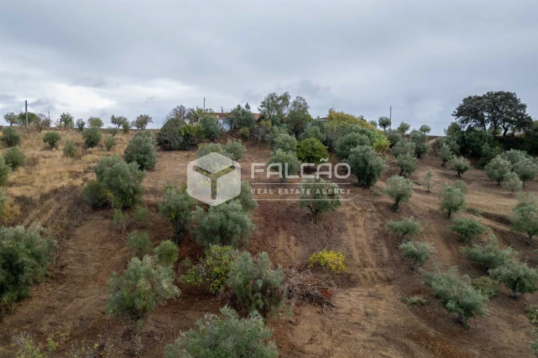 Moradia T2 para Venda em Casével e Vaqueiros Foto 12