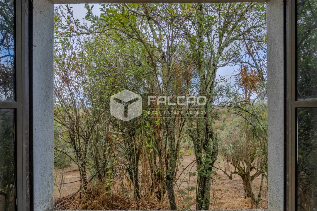 Moradia T2 para Venda em Casével e Vaqueiros Foto 43