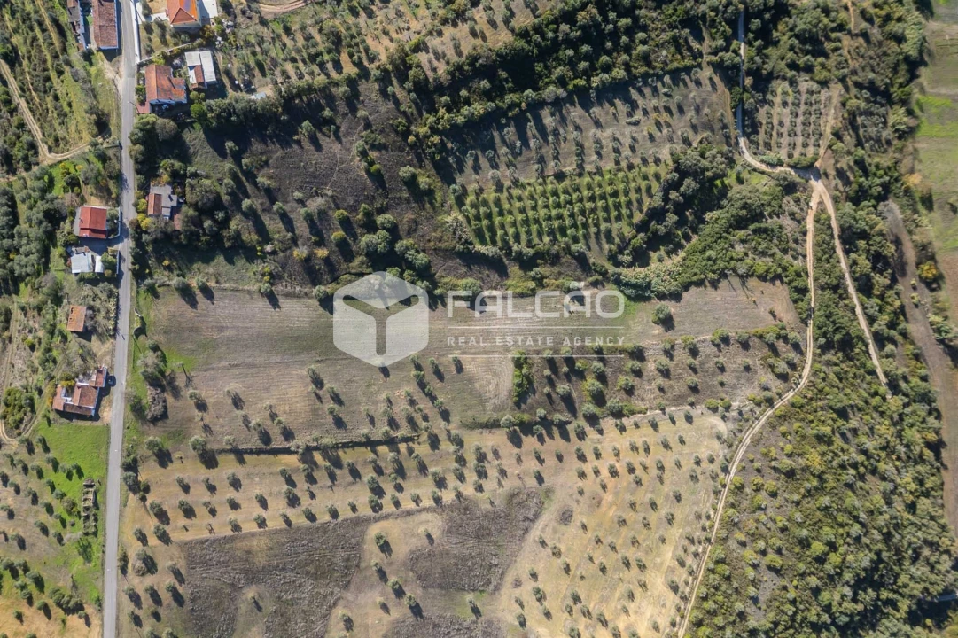 Terreno para Venda em Moçarria Foto 2